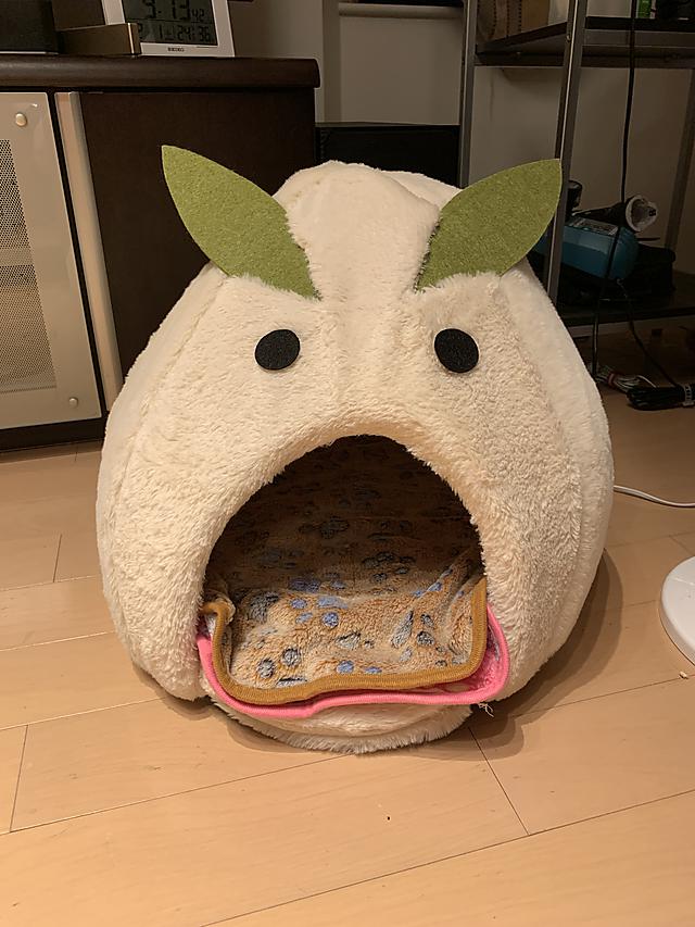 新しい猫ハウス